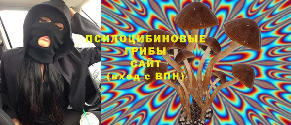 Альфа ПВП Новоузенск