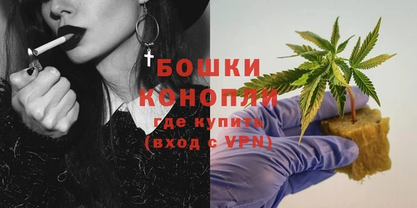 прущие крисы Надым