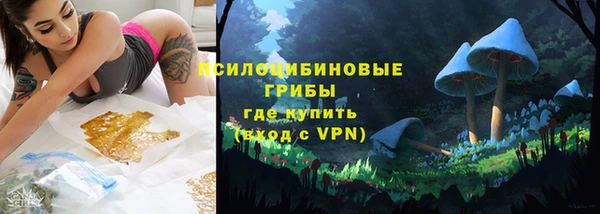 прущие крисы Надым